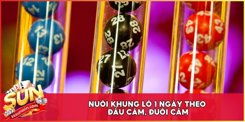 Nuôi khung lô 1 ngày theo đầu câm, đuôi câm