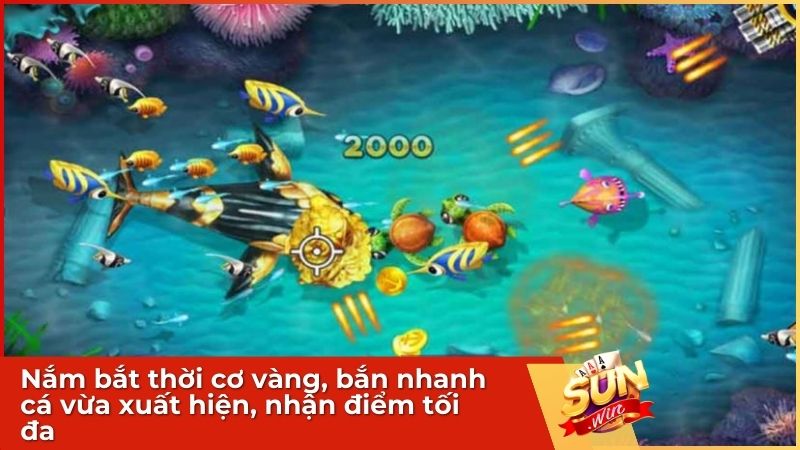 Hack Bắn Cá Sunwin: Chiến Thuật Săn Boss Đỉnh Cao & Sự Thật Về Tool Hack 3 Nắm bắt thời cơ vàng giúp bạn tiết kiệm đạn đáng kể