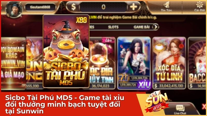 Sicbo Tài Phú MD5 Sunwin: Hướng Dẫn Chơi & Mẹo Thắng Lớn 1 Sicbo Tài Phú MD5 - Game tài xỉu đổi thưởng minh bạch tuyệt đối tại Sunwin